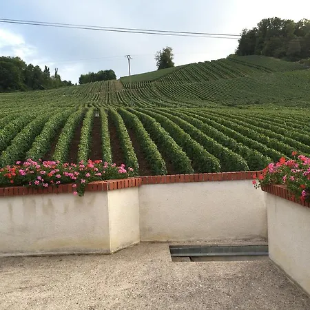 La Loge Du Vigneron Villa Vauciennes  Exterior photo