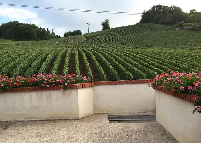 La Loge Du Vigneron