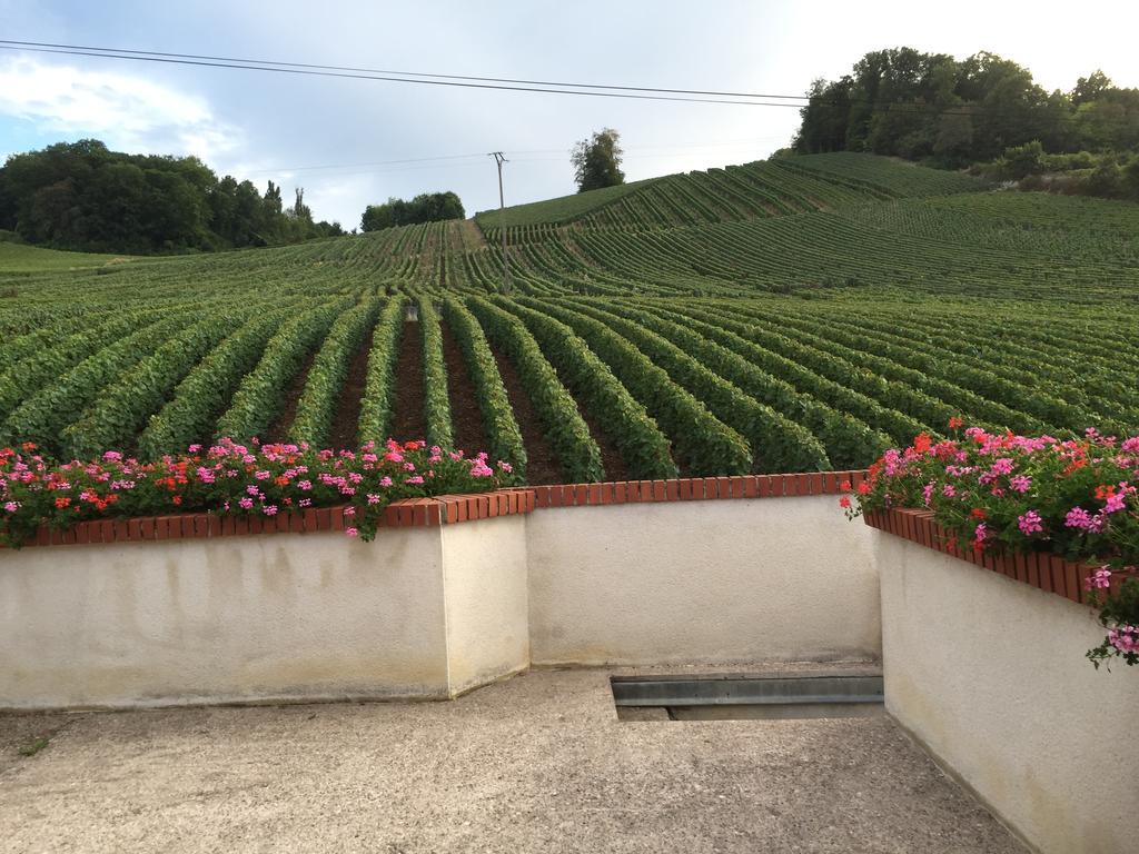 La Loge Du Vigneron * Vauciennes (Marne)