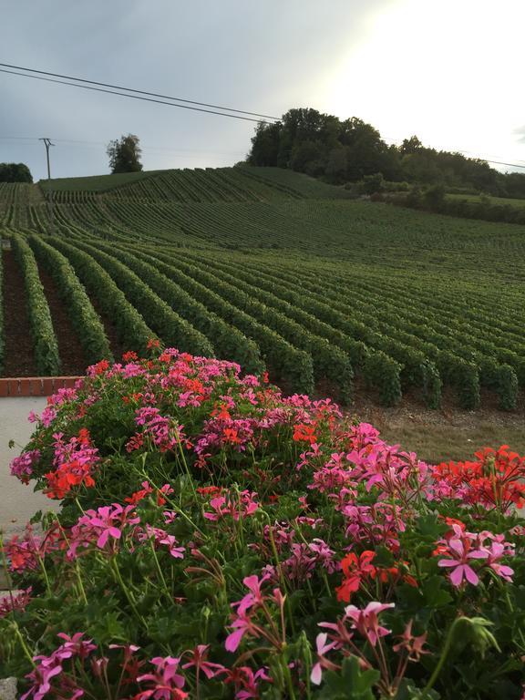 La Loge Du Vigneron